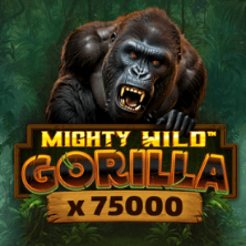 VOX Casino Slot-Spiel